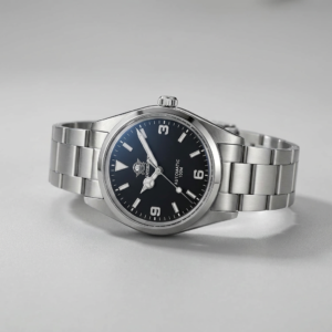 Vue d’ensemble : montre automatique 38 mm ADDIESDIVE AD2112